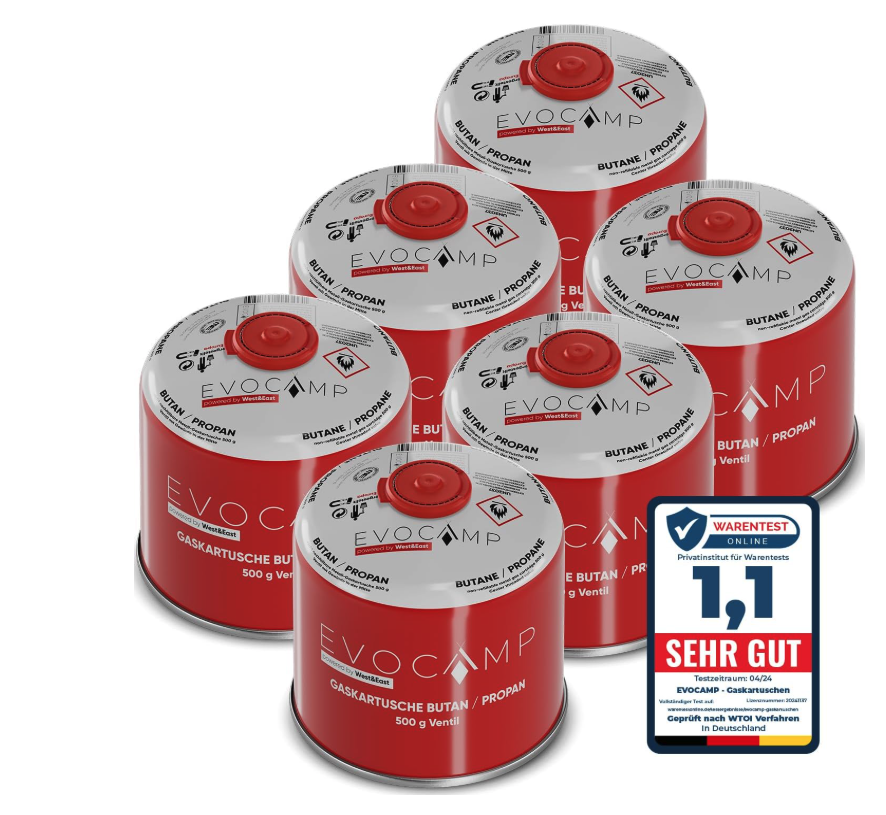 Cartuchos de gas butano x6